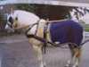 K�red�kken fleece  - bl� m/kant - velcro f�stning. 